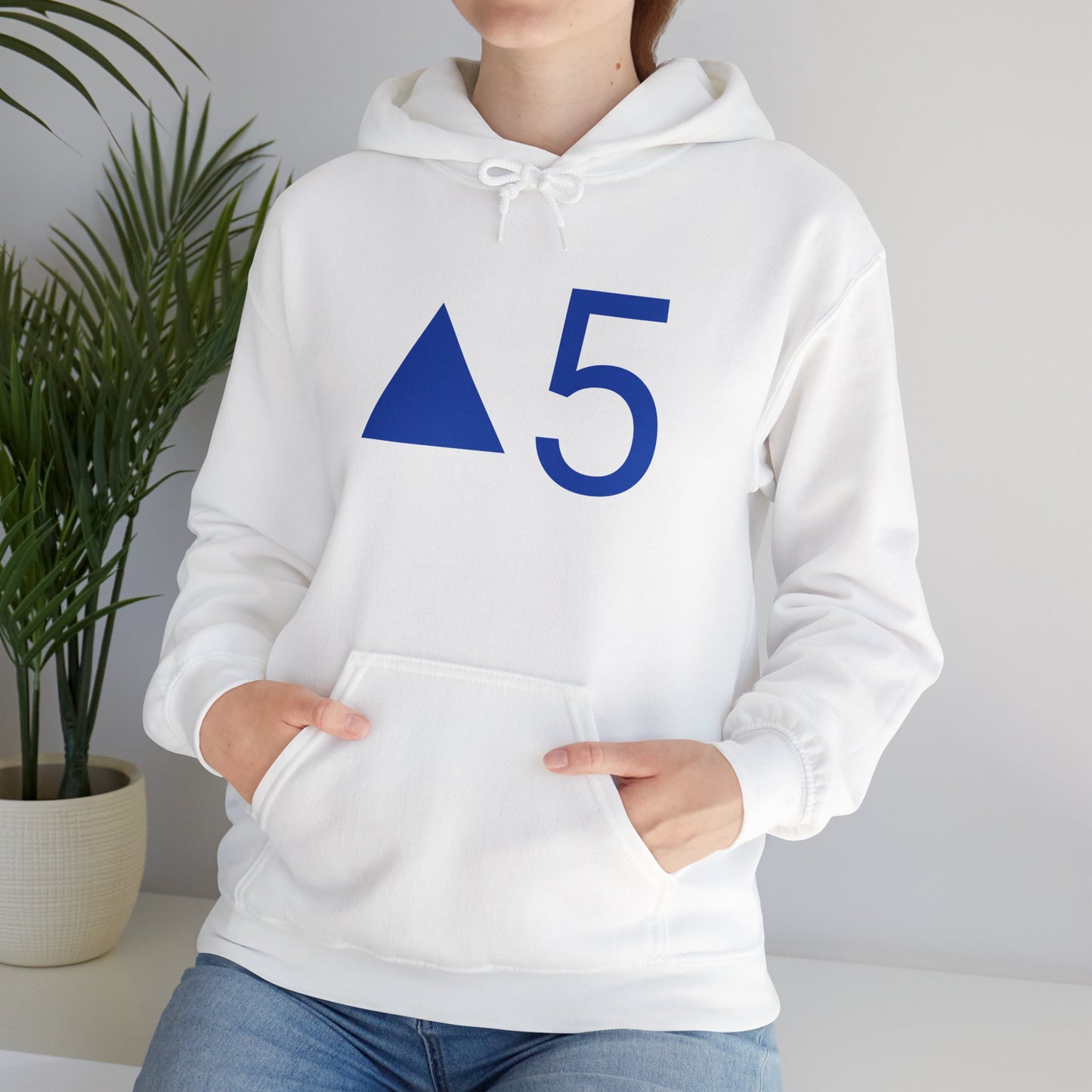 Top of the Fifth Baseball Hoodie